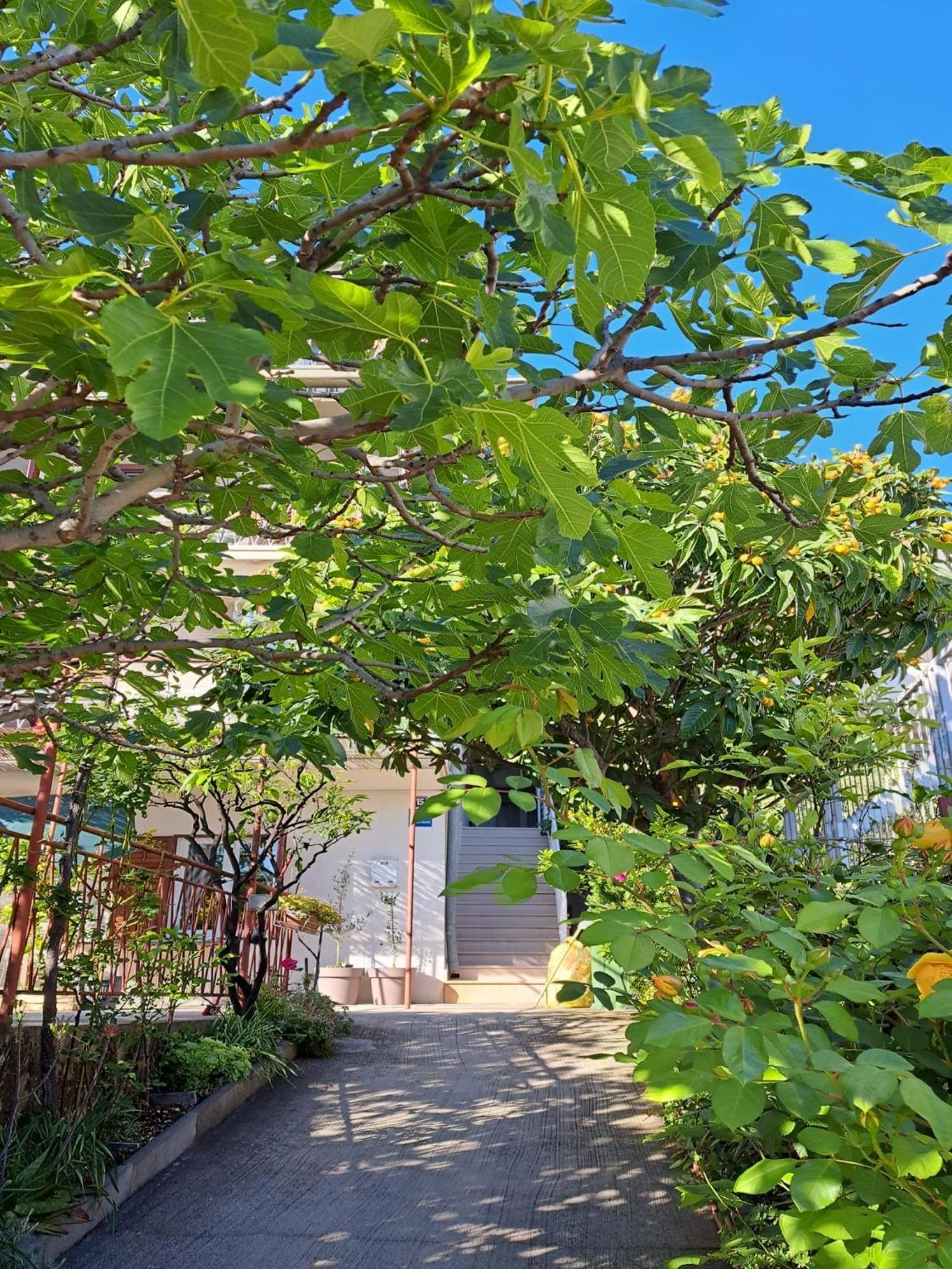 Apartman Adriatic Pavlinovic - Макарска Экстерьер фото
